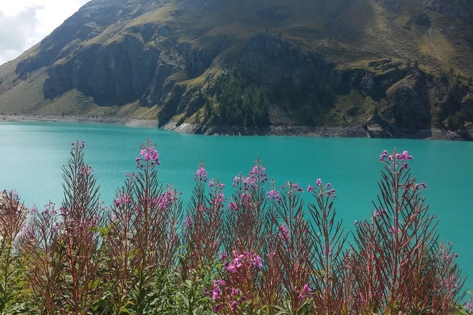 valtournenche